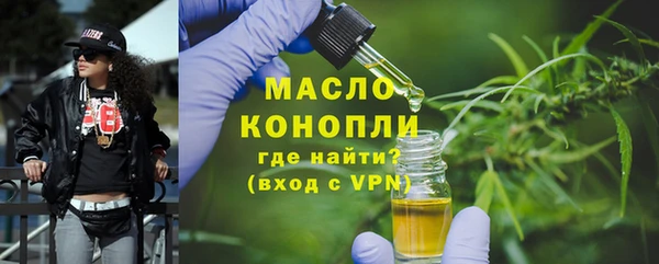 гидра Няндома