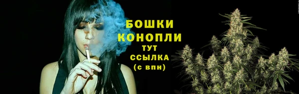 гидра Няндома