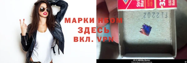 гидра Няндома