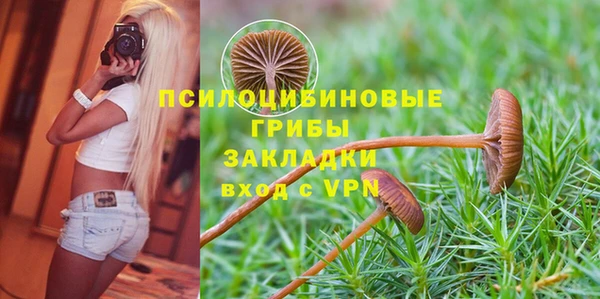 дурь Бутурлиновка