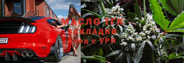 гидра Няндома