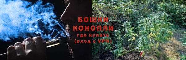 шишки Осинники