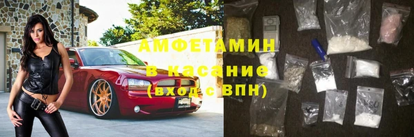гидра Няндома