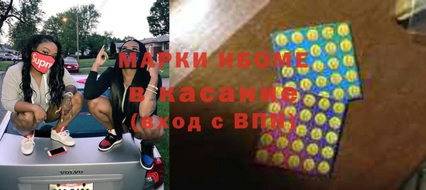 гидра Няндома