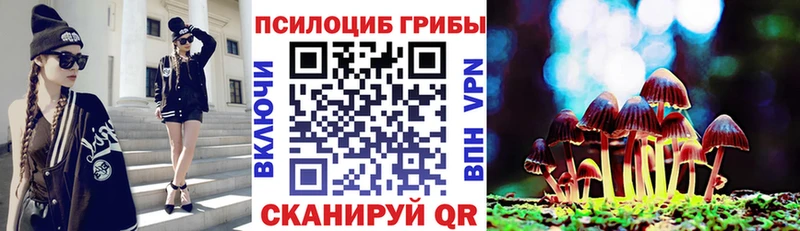 Псилоцибиновые грибы ЛСД  закладка  MEGA ССЫЛКА  Амурск 