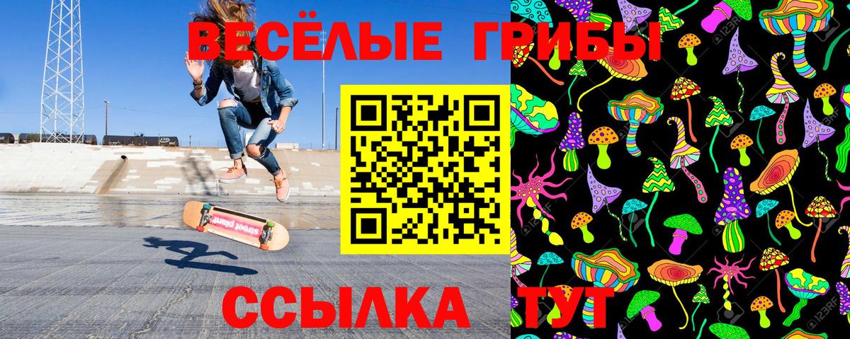 Псилоцибиновые грибы Psilocybine cubensis Амурск