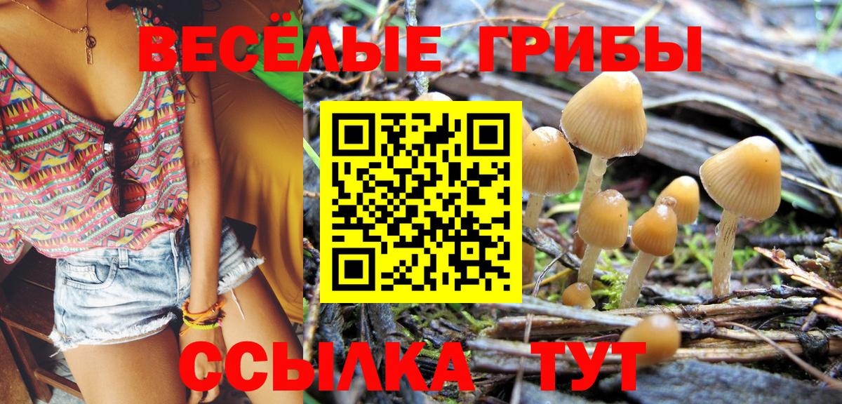 Псилоцибиновые грибы GOLDEN TEACHER  Галлюциногенные грибы GOLDEN TEACHER  Амурск 