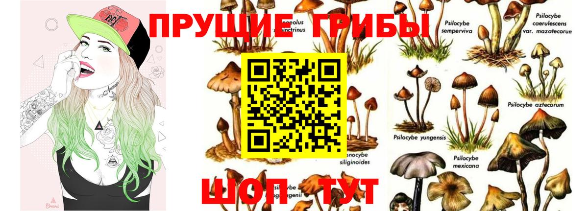 Амурск  Псилоцибиновые грибы Psilocybe  Вход с VPN  Галлюциногенные грибы Cubensis 
